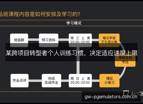 某跨项目转型者个人训练习惯，决定适应速度上限